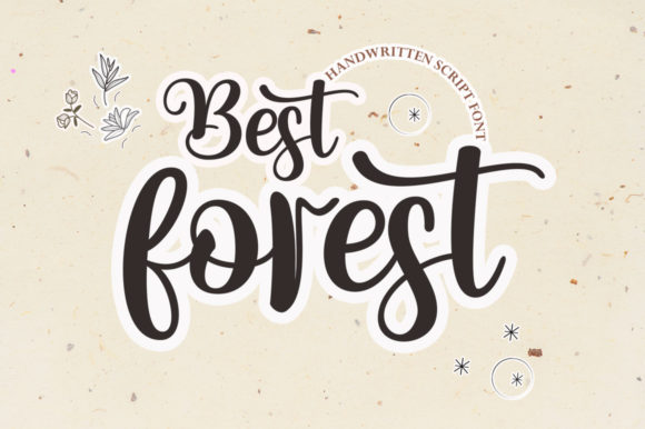 Best Forest Font for Timeless Branding