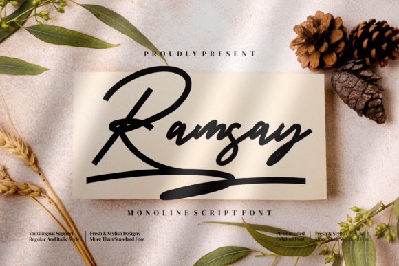 How Ramsay Font Transformed My Brand’s Visual Identity