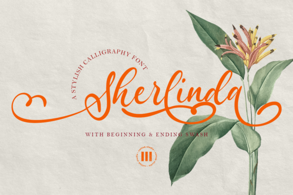 Sherlinda: A Script Font That Elevates Editorial Design